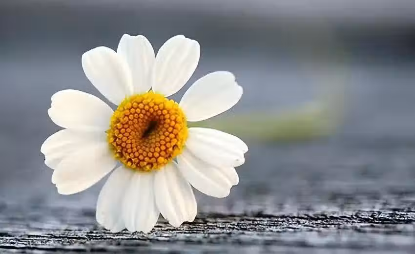 /www/bananadaily.net/web/images/image/2259/22592275.avif